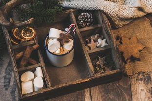 开云入口-NBA赛季助攻王表现动态，nba本赛季助攻王